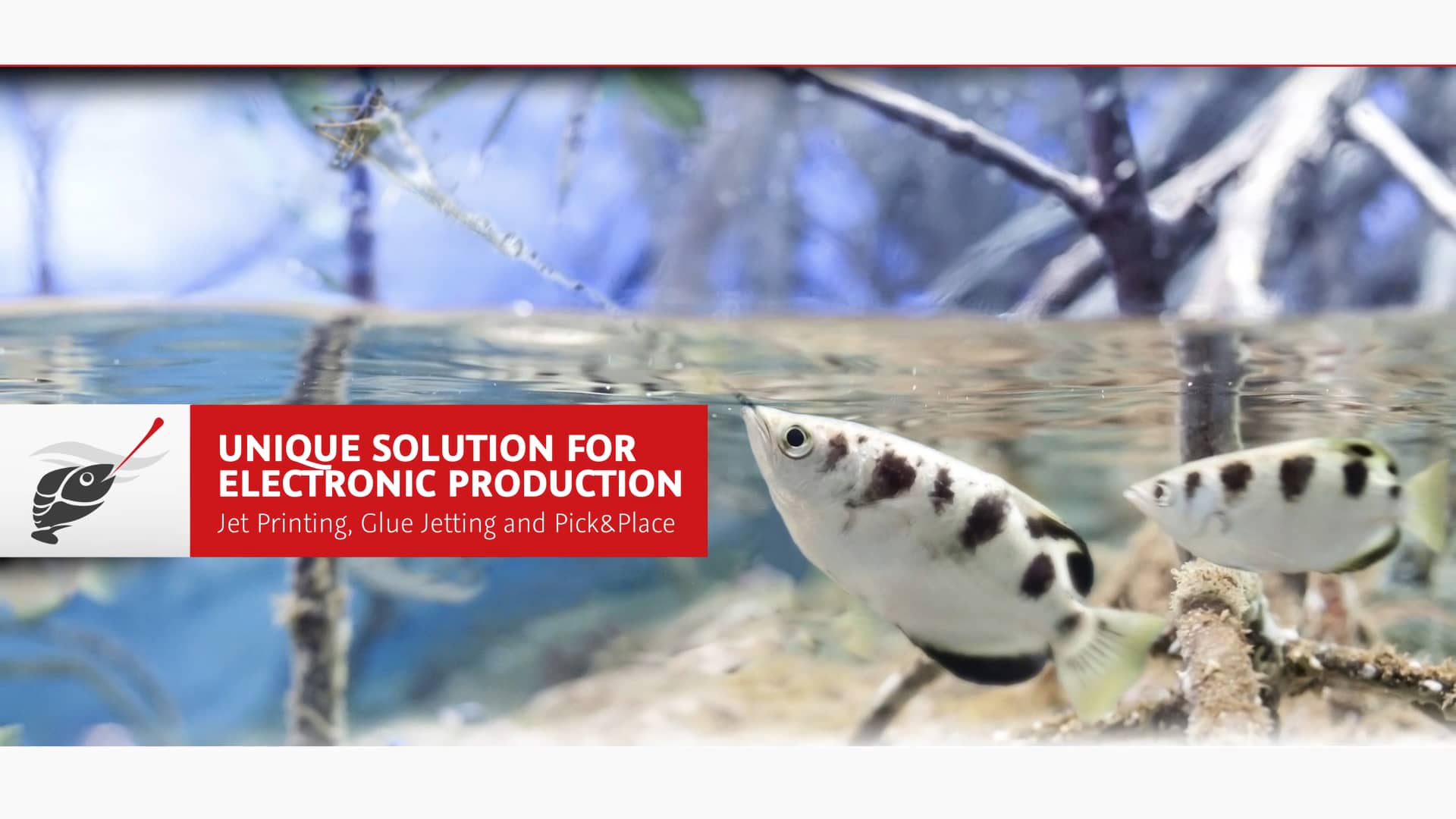 Essemtec Archerfish Solder Paste Jet Printing Solution 2020 on Vimeo
