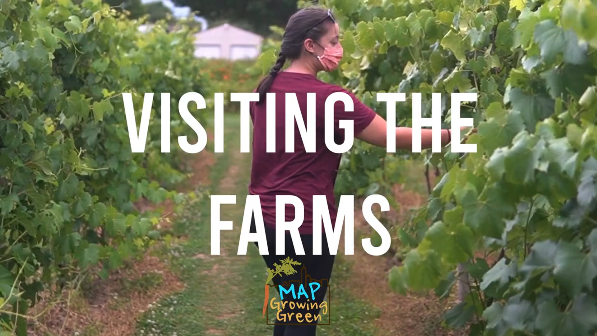 MAP Youth Rifat visits MAP's Farm Partners!
