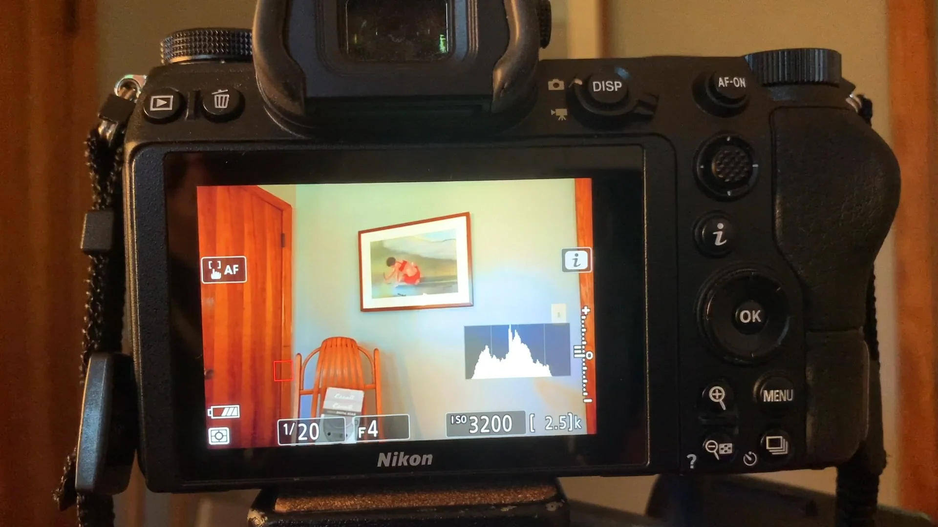 Histogram On the Nikon Z6