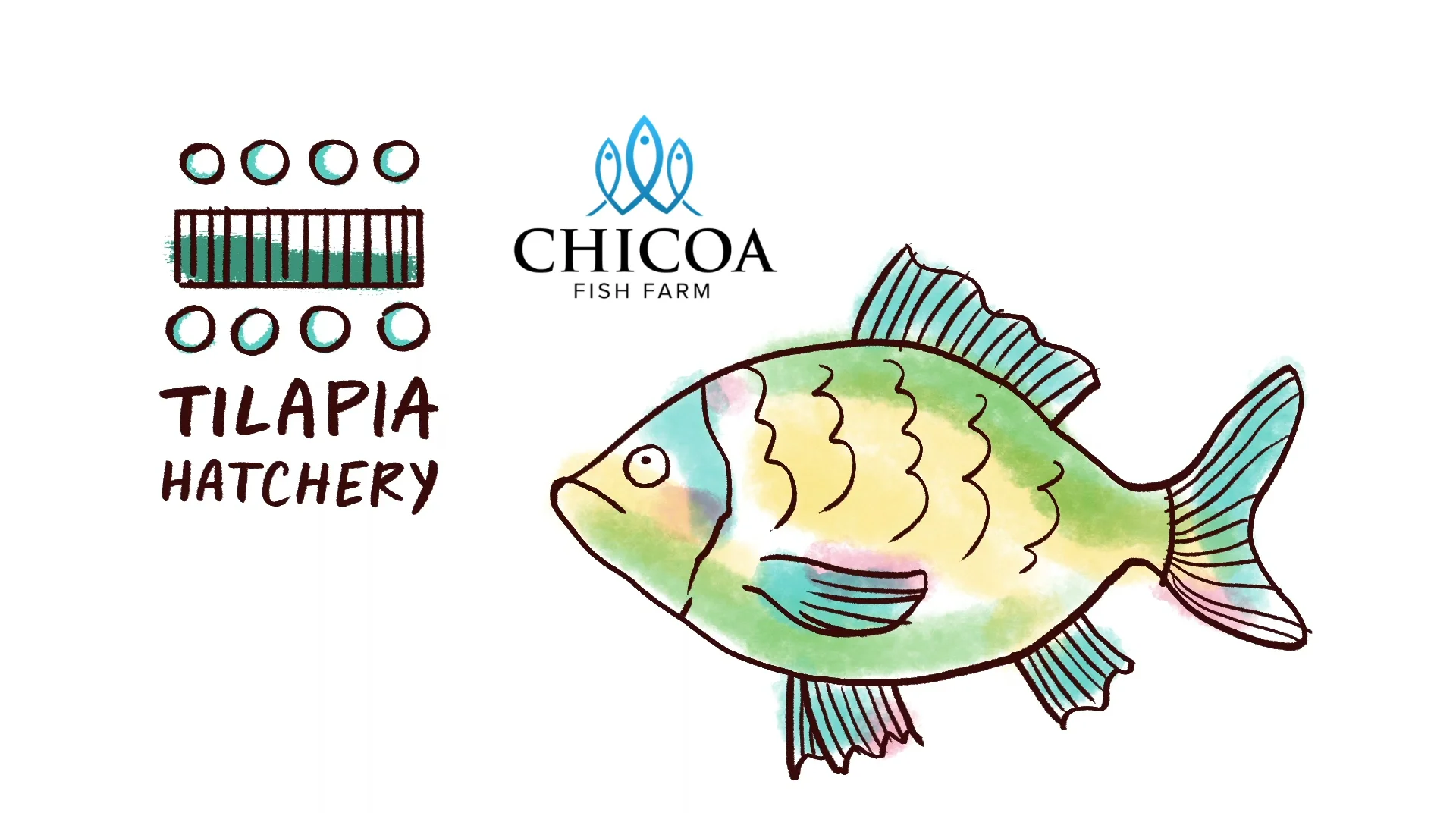 Chicoa Fish Farm