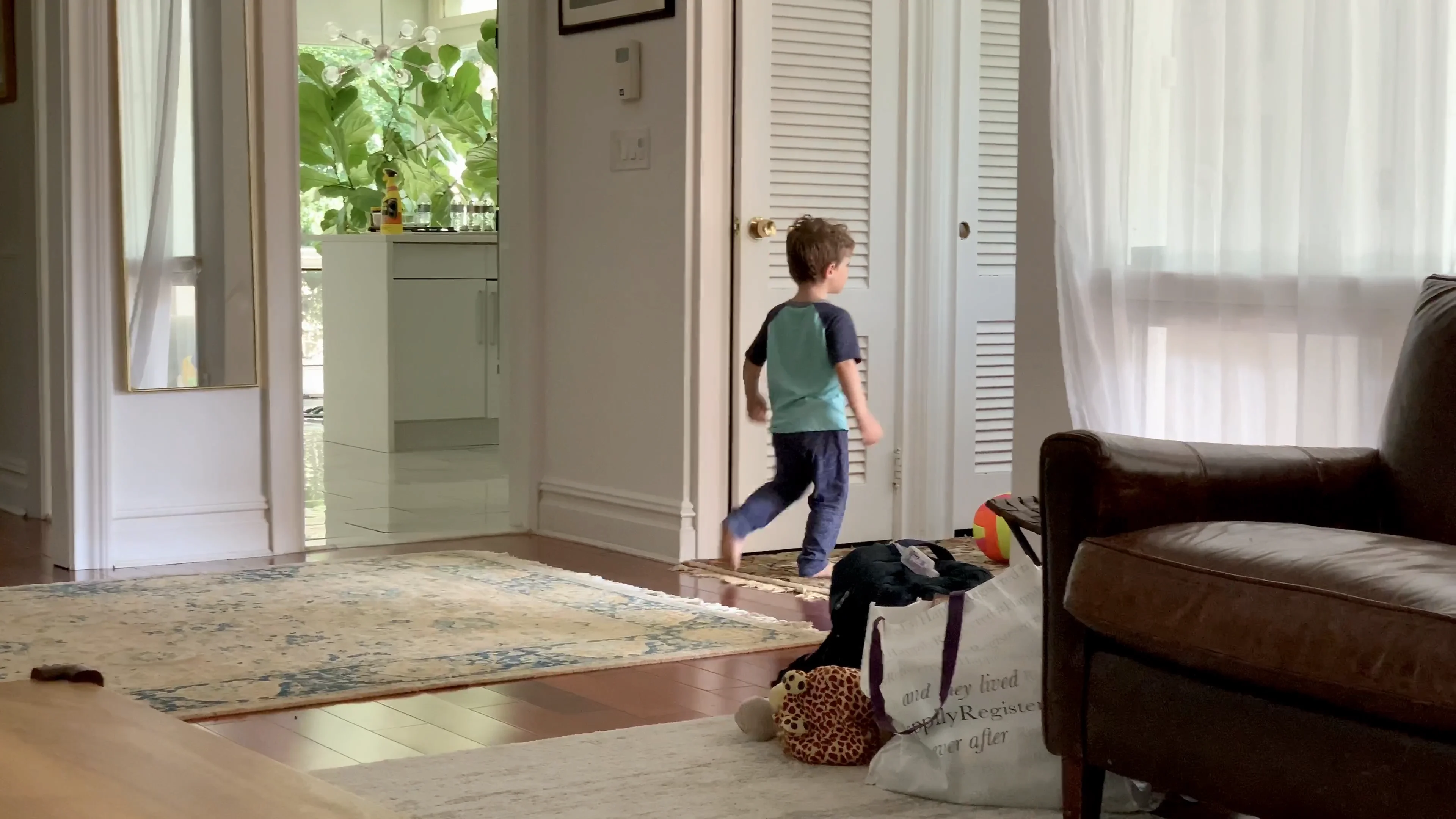 Elliot is a turtle on Vimeo