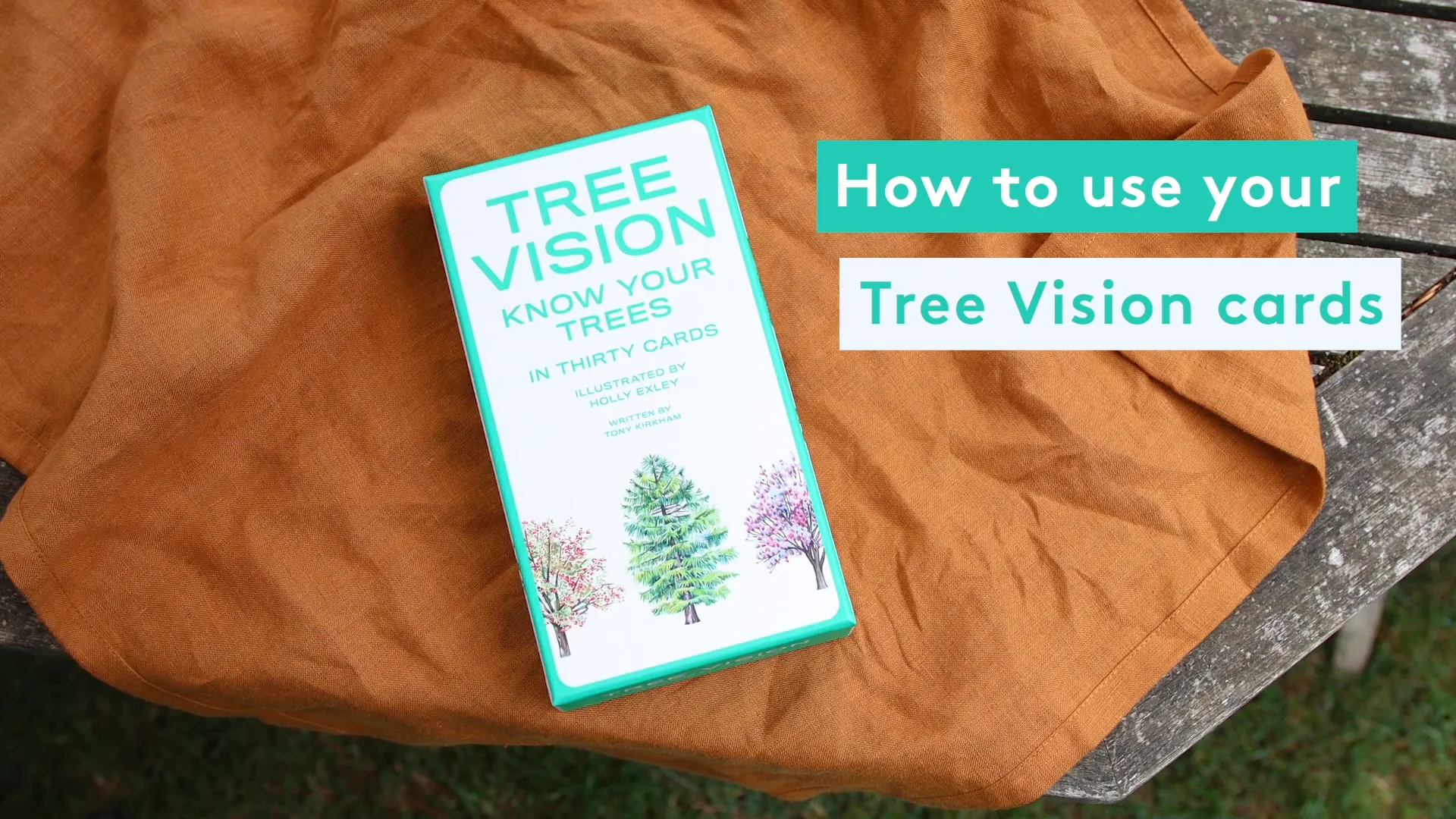 Tree Vision: Know Your Trees in 30 Cards on Vimeo