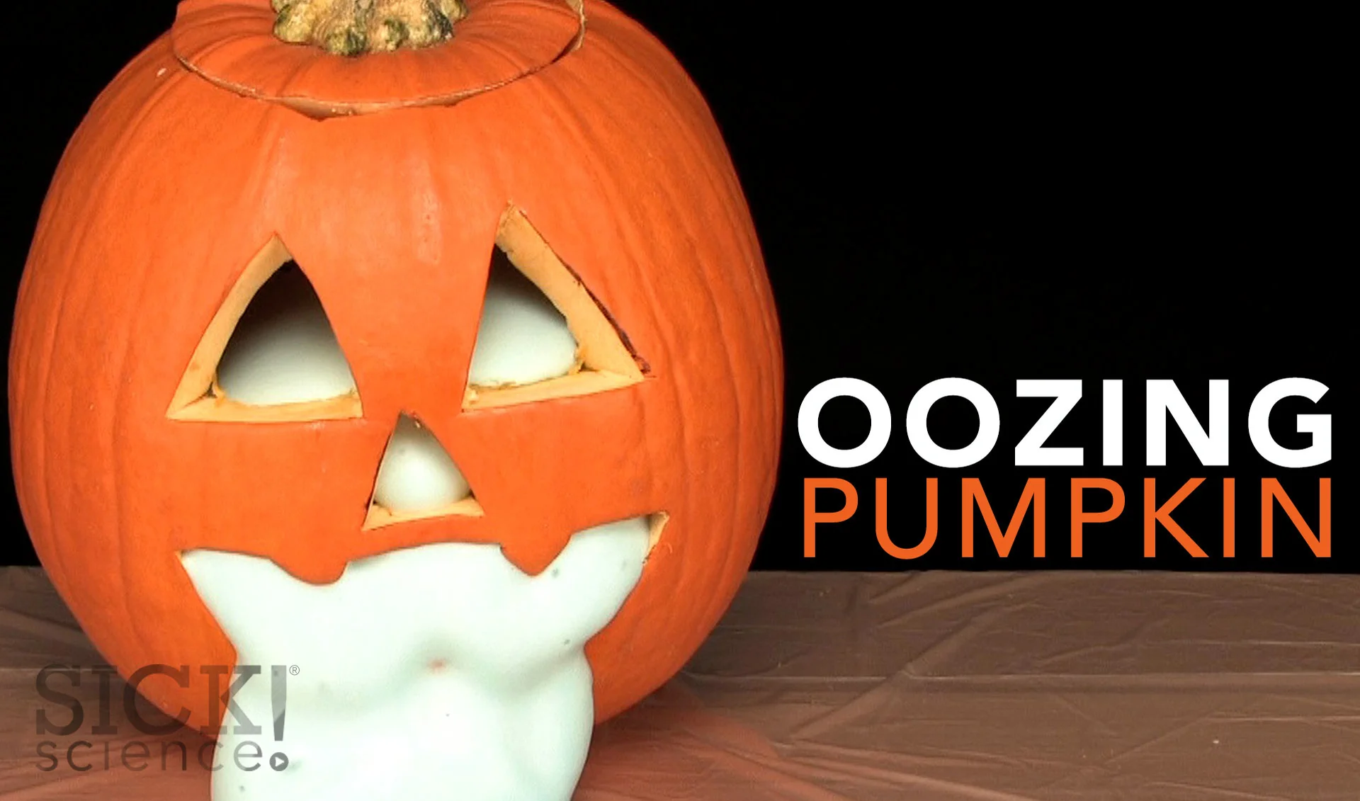 Pumpkin さんよろしくお願い申し上げます。 Amazon.com: Squishmallows Original 14-Inch Delindy Orange Pumpkin