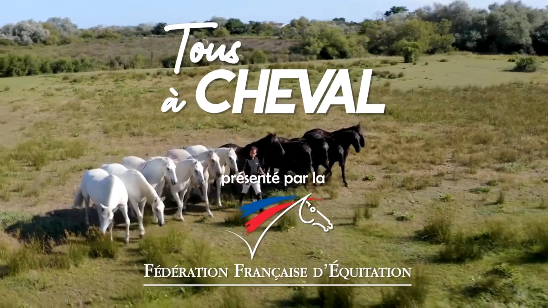 Tous à cheval - Communiquer avec les chevaux