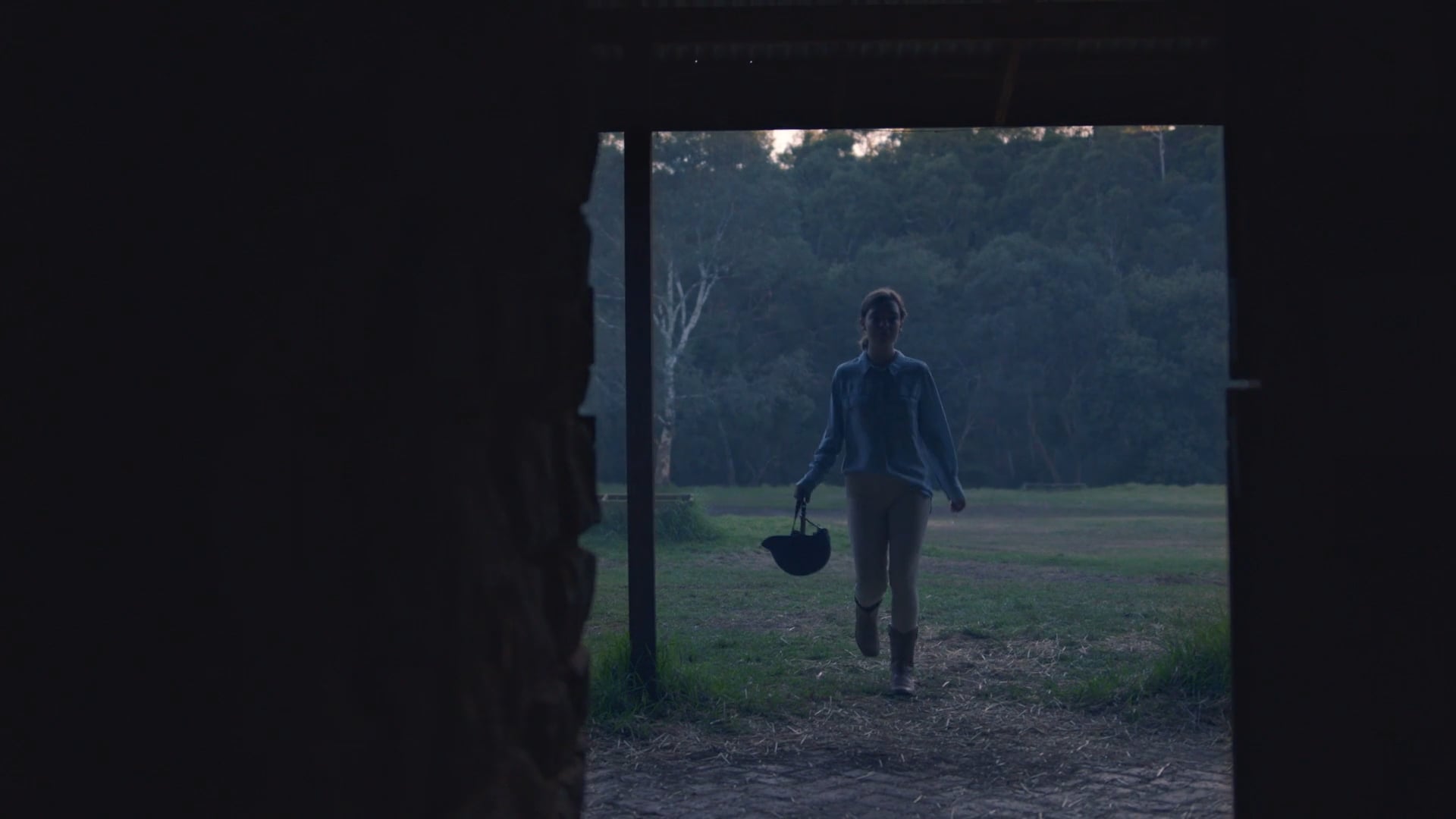 NDIS The Horse Rider