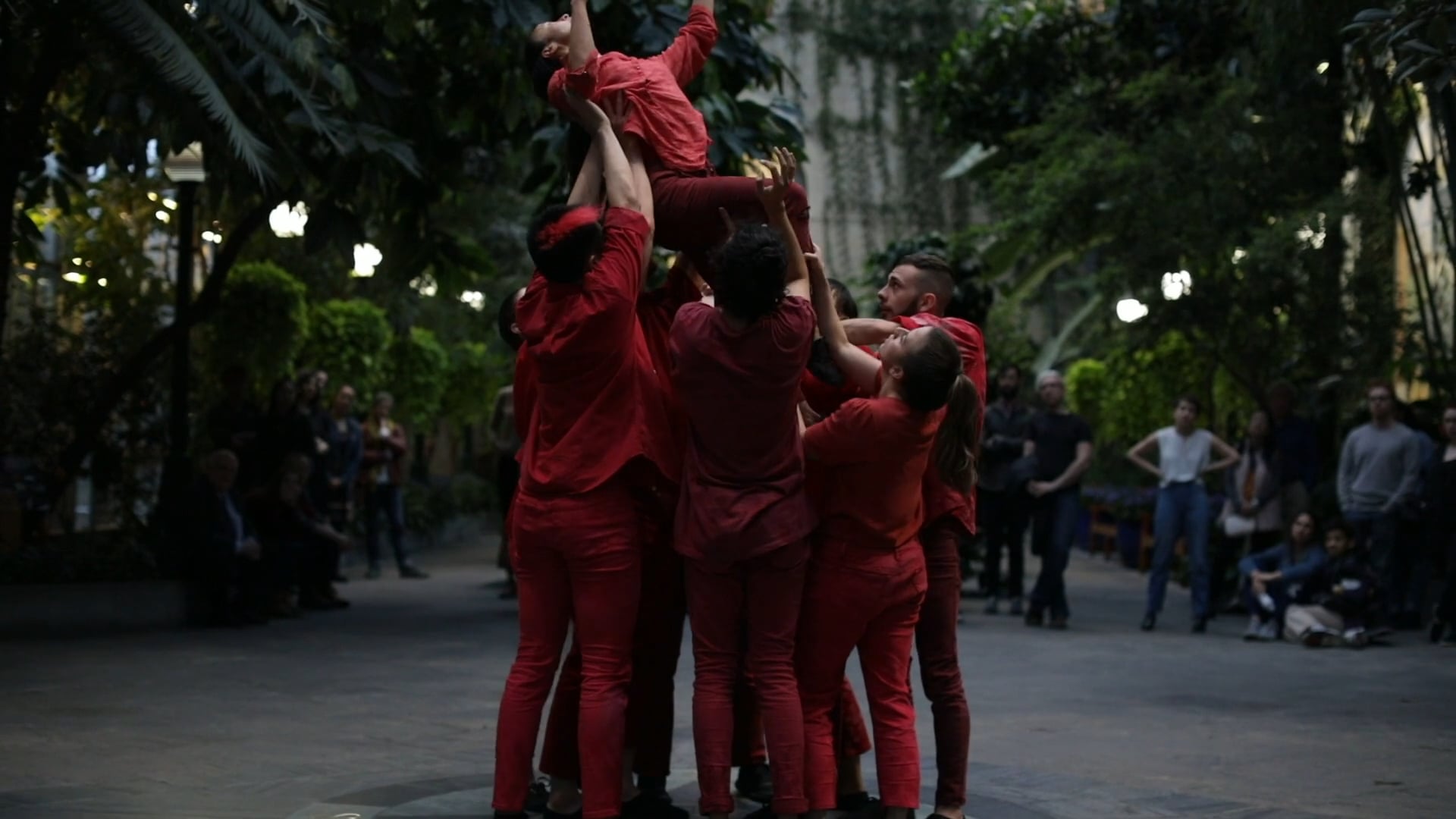 LEANING TOWARD THE SKY @ U.S. Botanic Garden (Trailer)