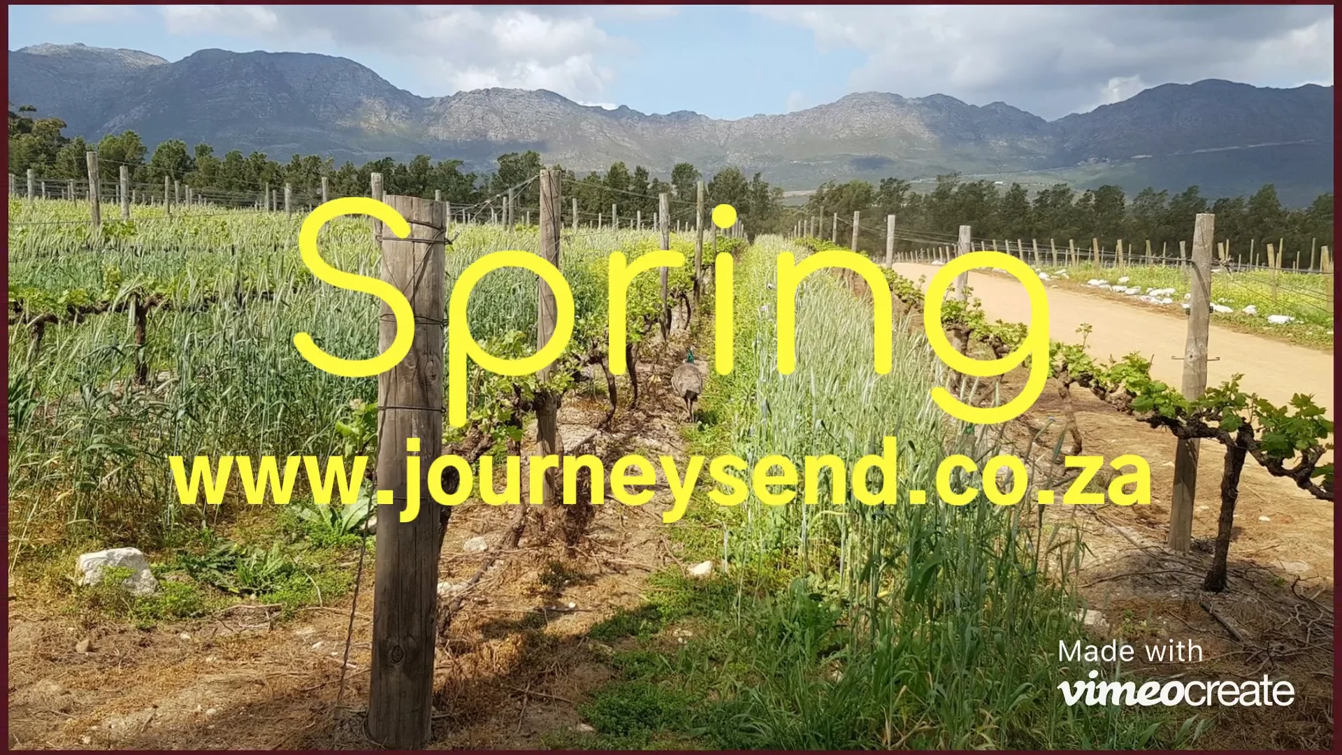 spring-plans-w-je-on-vimeo