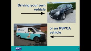 Driving for the RSPCA Explained - Volunteer Support Team