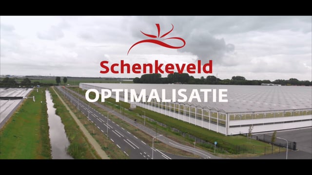Brandstory Schenkeveld Tomaten part2
