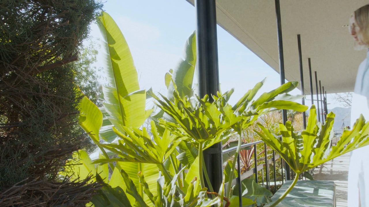 Everybody & Everyone ELAINA