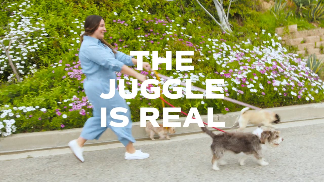 Everybody & Everyone DOG