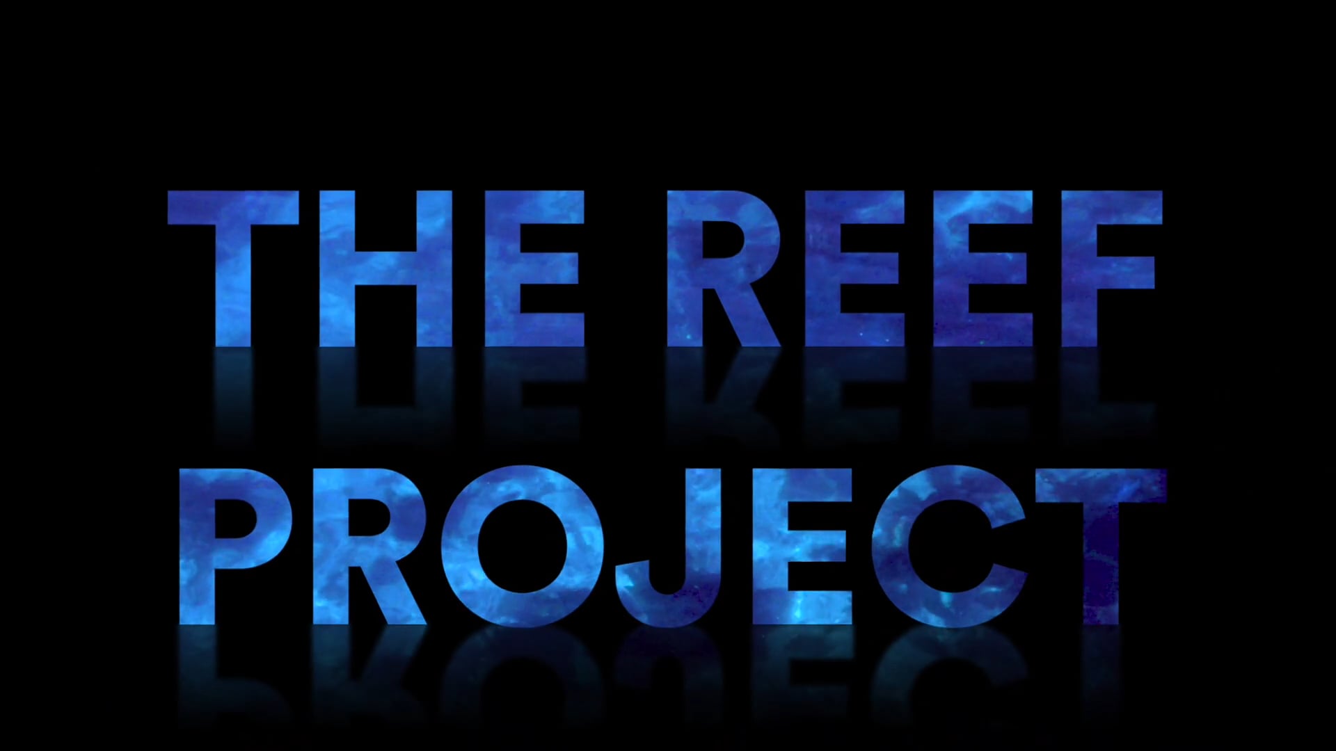 SOH Reef Project