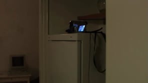 Svensk kortfilm & videokonst