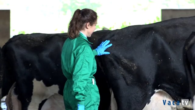 Resistencias Antimicrobianas