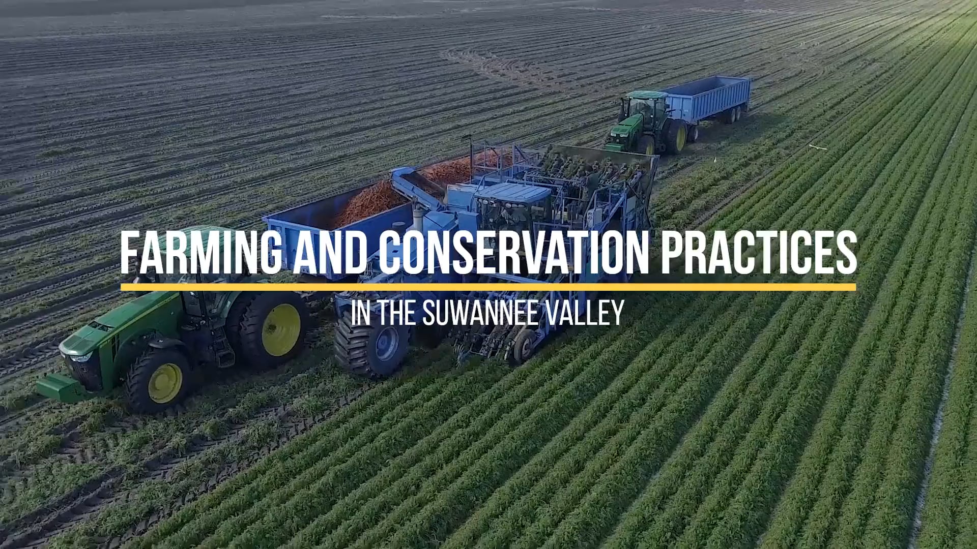 Suwannee Valley Agriculture - 2019