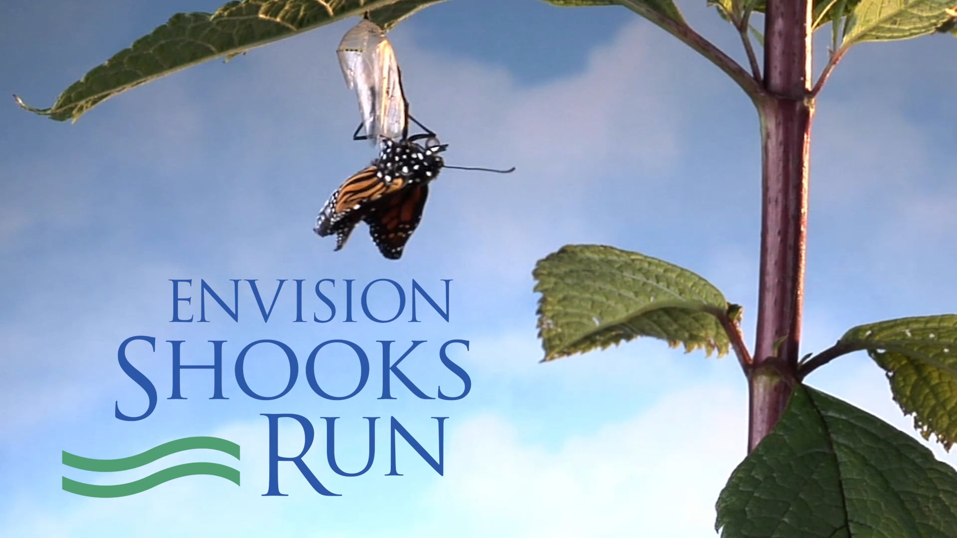 Envision Shooks Run Project Overview Video on Vimeo