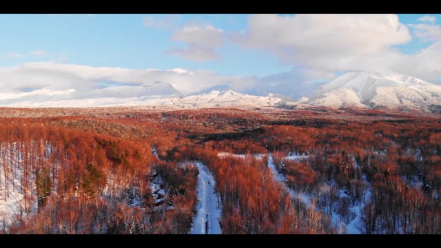Central Hokkaido Tours - short version
