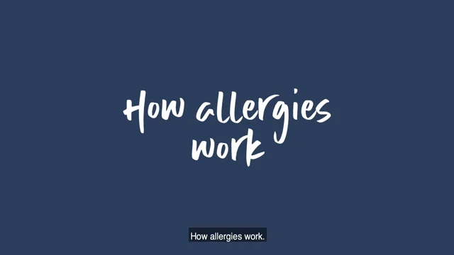 How Allergies Work