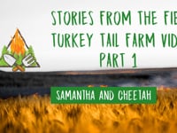 Fire Risk Assessment with TurkeyTail Farm Pt 1