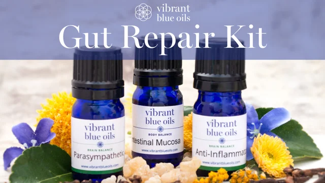 Digestion Support Essential Oil Kit - Vibrant Blue Oils