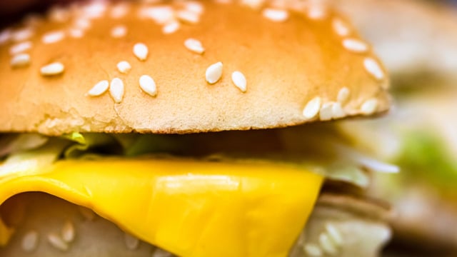 mcdonald's burger experiment decompose