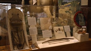 New Exhibits at Texas Ranger Museum