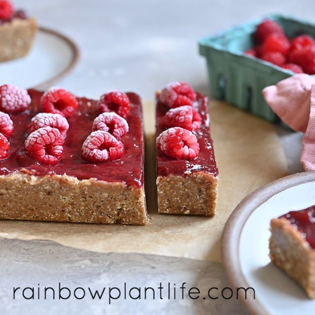 Healthy Vegan PB&J Bars
