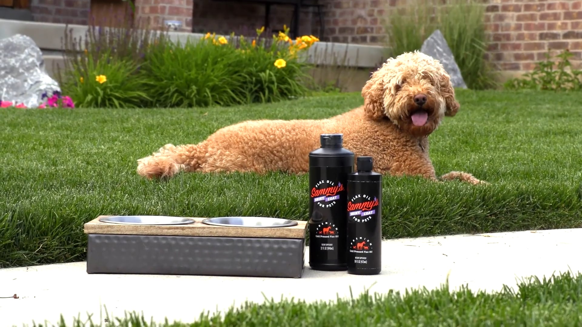 The Geekery View - Sammys Shiny Coat - Commercial