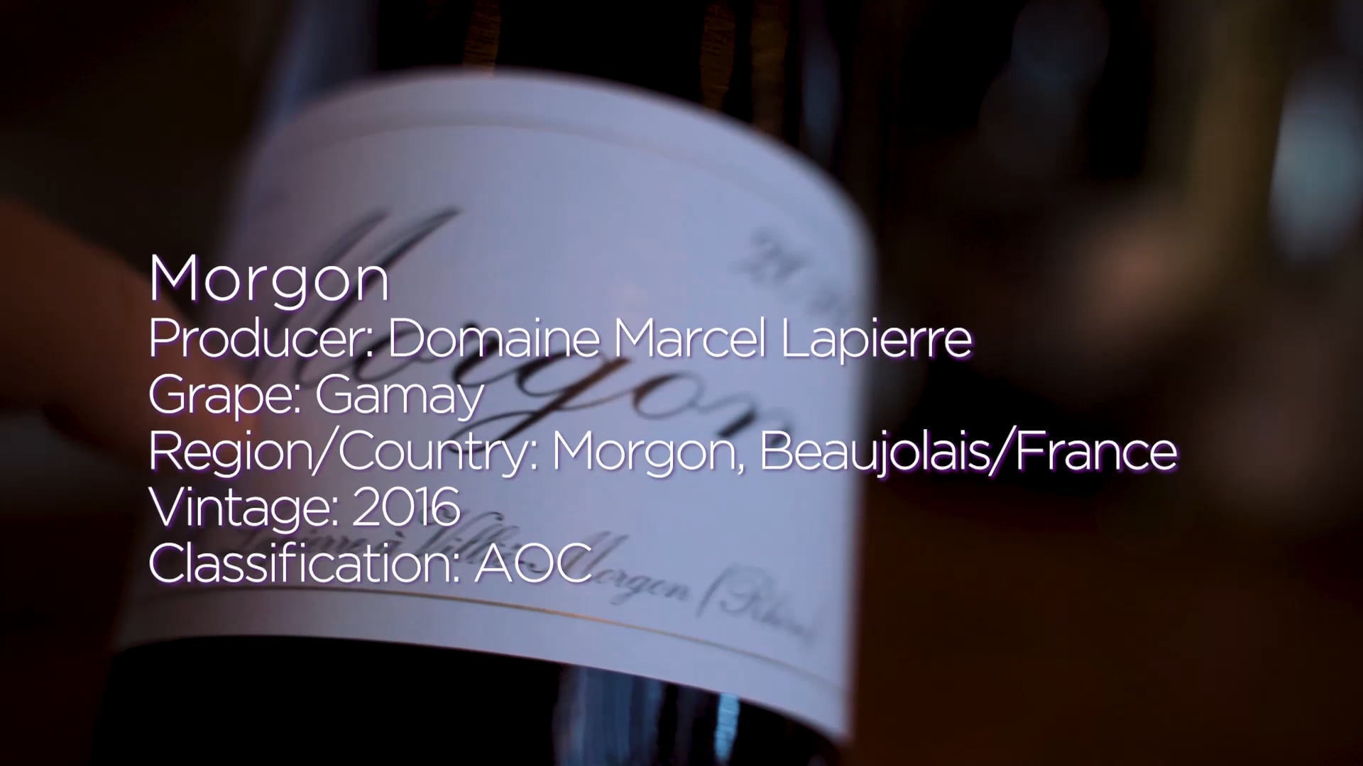 BEHIND THE LABEL: Morgon