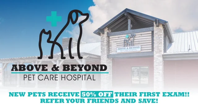 Above and store beyond pet clinic