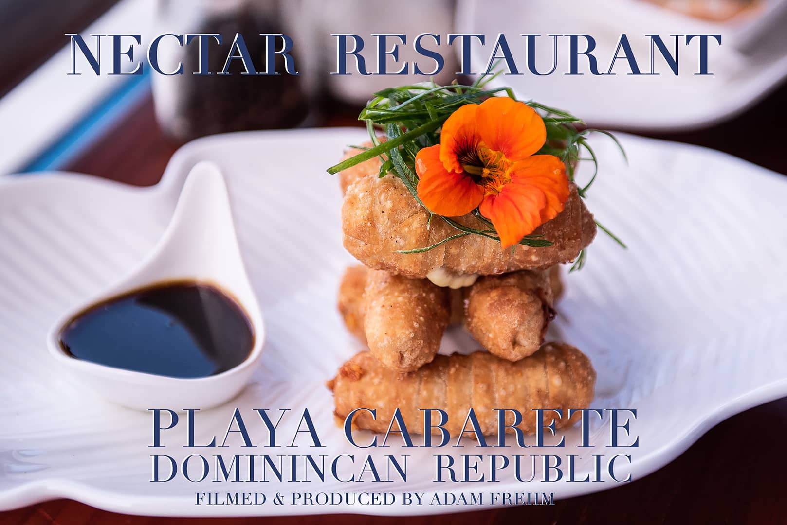 Nectar Restaurant Playa Cabarete on Vimeo
