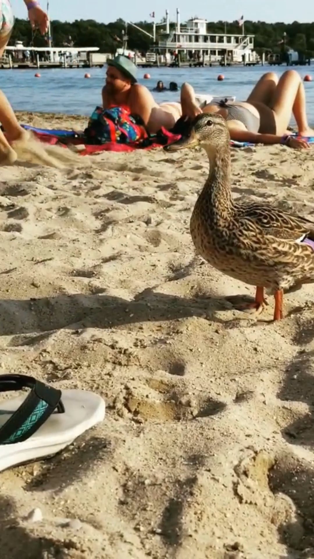 Duck! on Vimeo