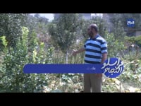 مراسلو النجاح 2020
