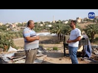 طابو 2 - قرية بردلة