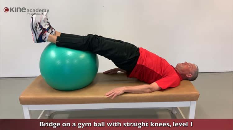 bridge exercise with ball