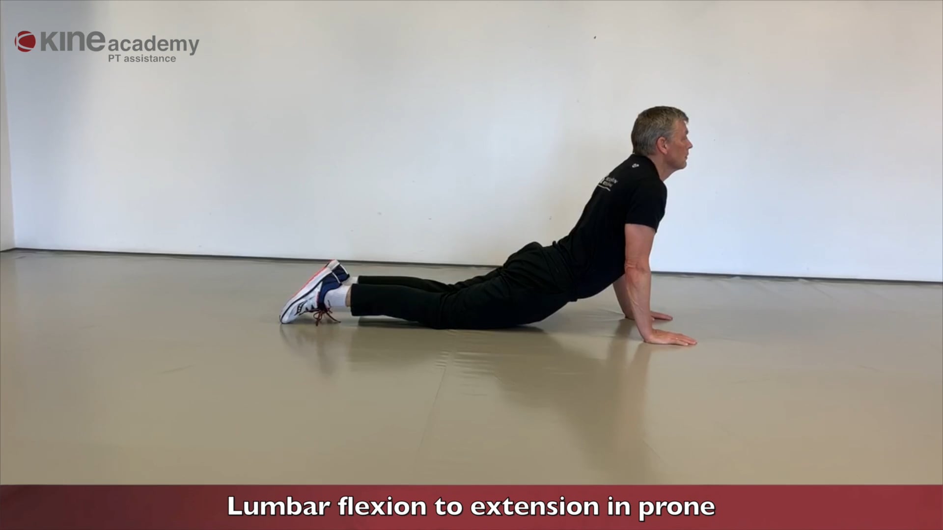 Lumbar flexion to extension in prone on Vimeo