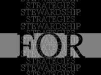 Strategies For Stewardship