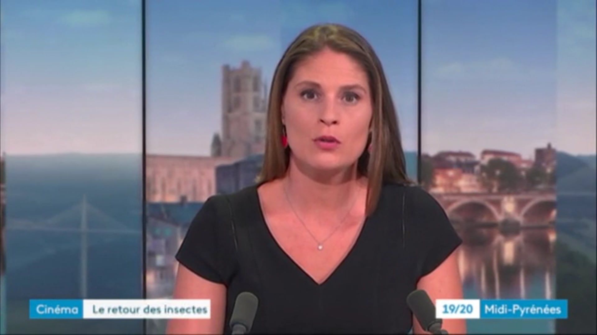 20200804MONDESINVISIBLESENTOURNAGEDANS UNEFERMEAVEYRONNAISEmp4