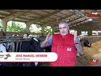Primeiras produtoras Prima