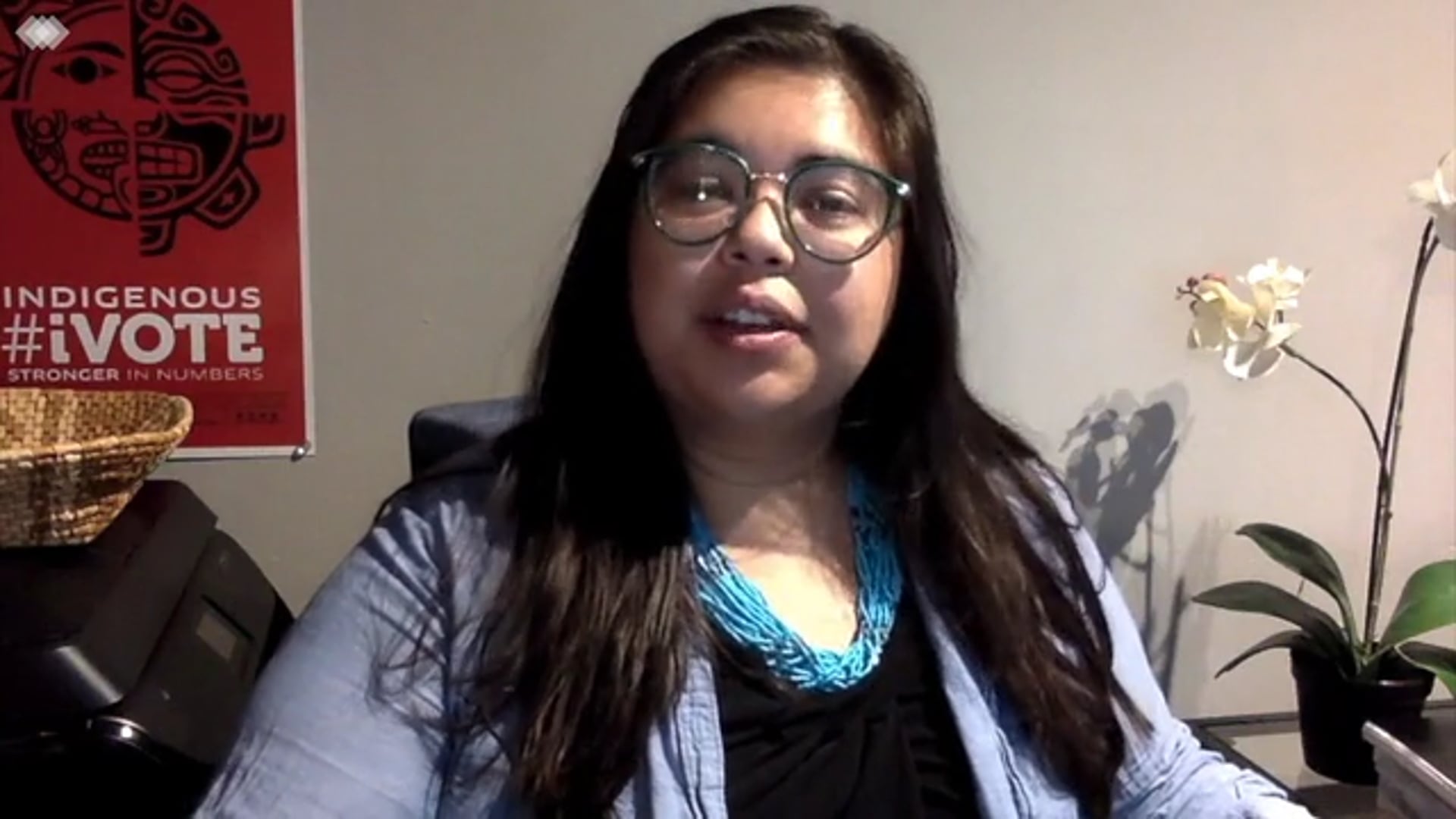 Indigenous Peoples and the Constitution