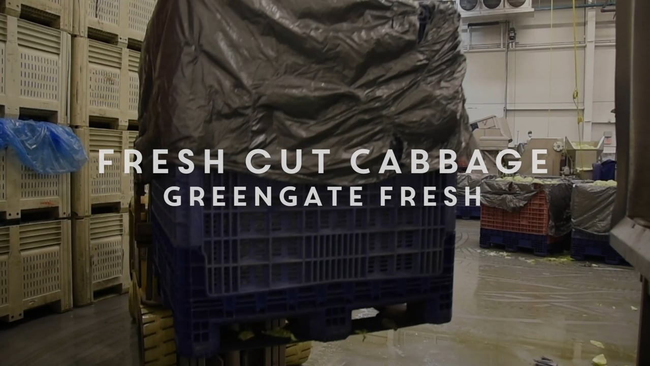 Fresh Cut Cabbage from GreenGate Fresh