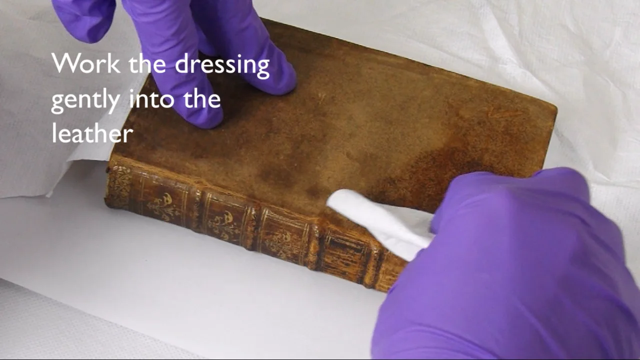 PEL leather dressing and conditioner