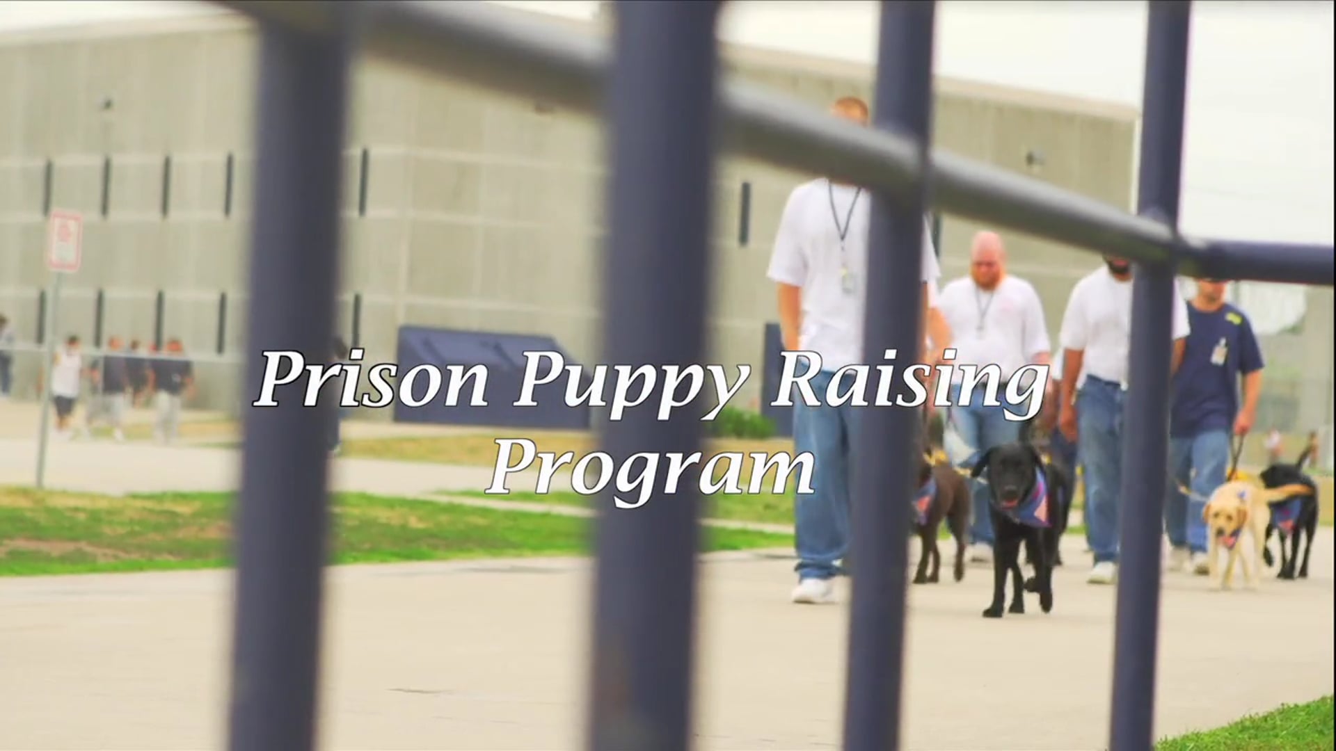 LEADER DOGS FOR THE BLIND PRISON PUPPY TRAINING PROGRAM