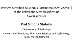 iSMILE and Silva classification l