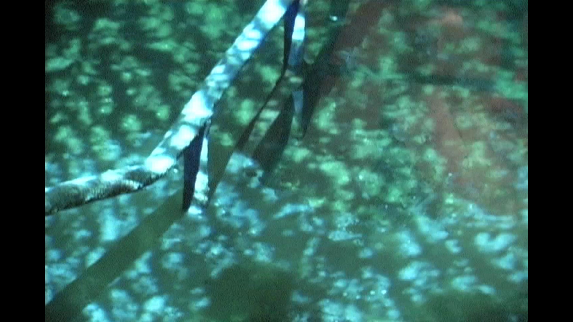 Subterranean Resurgence