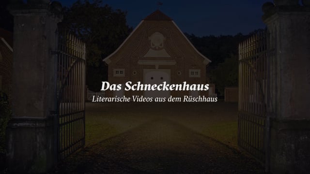 Video preview image