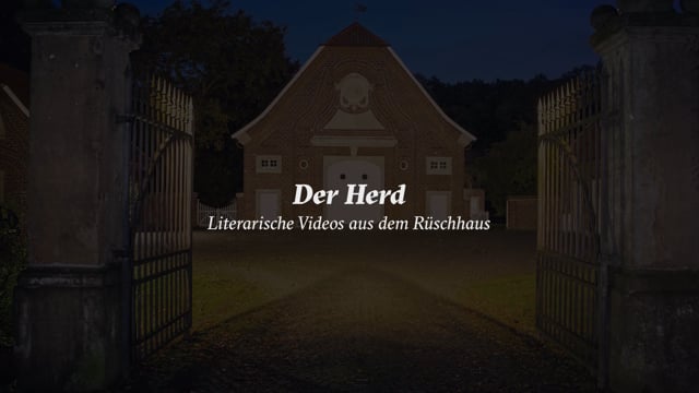 Video preview image