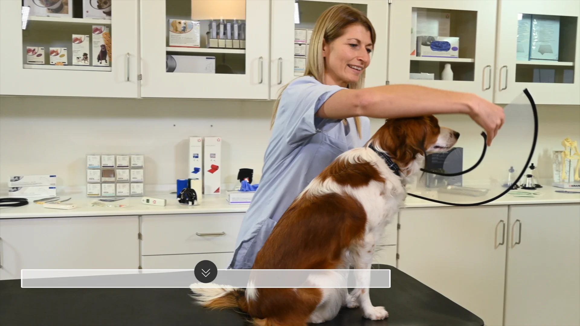 Video to web & download BUSTER Quick Collar FR on Vimeo