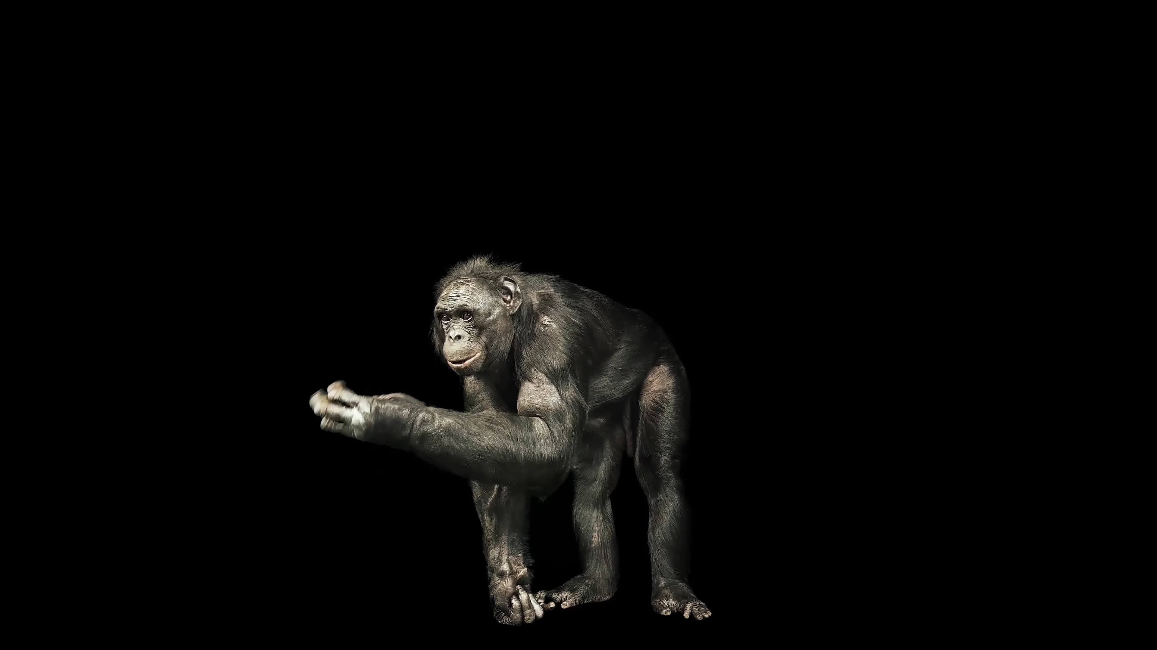 VMAM007-067 - Joel Sartore