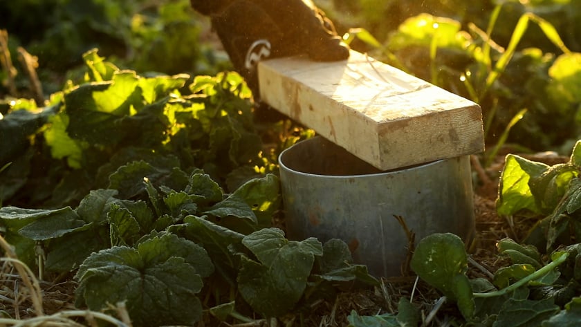 Regen Ag 101 - Soil Health Academy